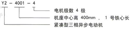 YR系列(H355-1000)高压YR5601-10三相异步电机西安西玛电机型号说明